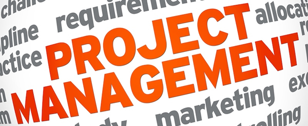 Project and Engagement Management Consulting