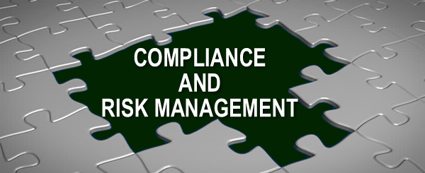 Information Technology Audit, Compliance and Risk Management Consulting
